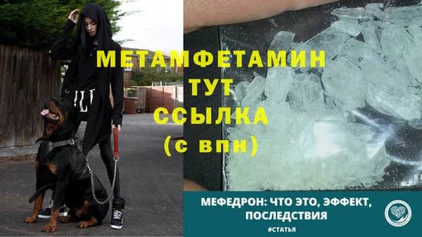 сатива Абаза