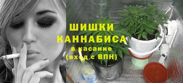 сатива Абаза