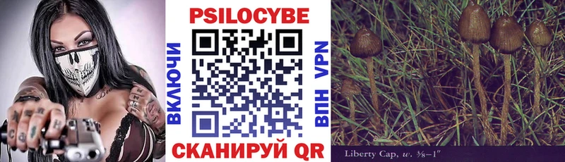 купить наркотик  Чегем  Галлюциногенные грибы MAGIC MUSHROOMS 